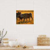Kühe auf Weide 2 Poster (Küche)