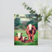 Kühe auf Weide Feiertagspostkarte (Stehend Vorderseite)