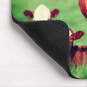 Kühe auf Weide Mousepad (Ecke)
