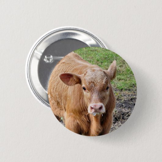 KUHE BUTTON (Vorne & Hinten)