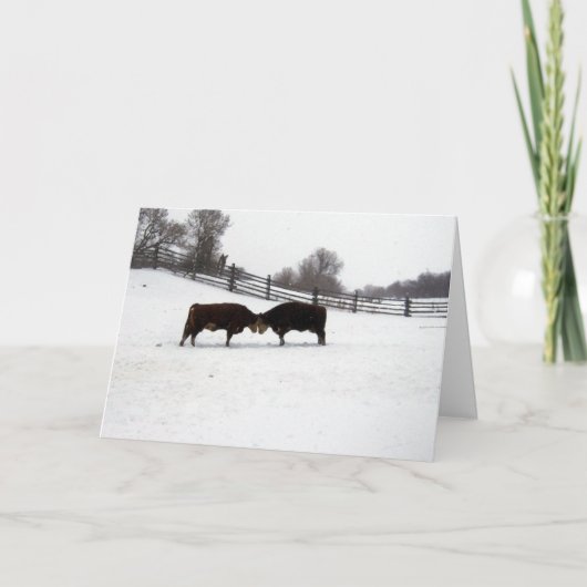 Kühe Dankeskarte (Vorderseite)