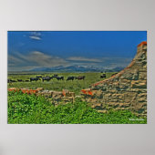 Kühe der Crazy Montains Poster (Vorne)