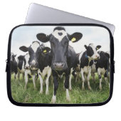 Kühe, die hintereinander stehend sind und die Kame Laptopschutzhülle (Vorderseite)