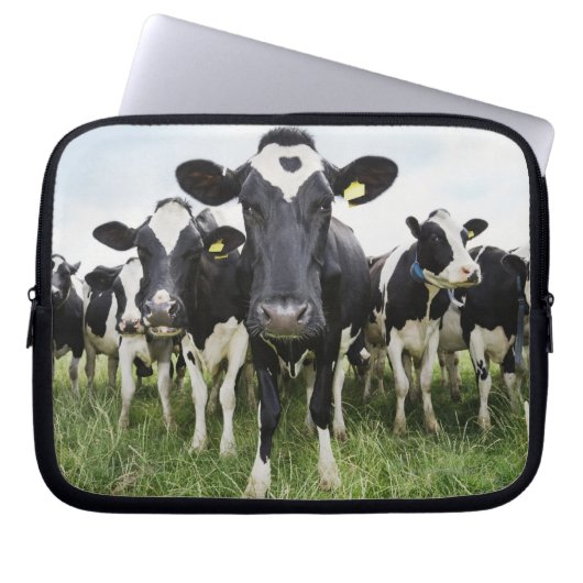Kühe, die hintereinander stehend sind und die Kame Laptopschutzhülle (Vorderseite)