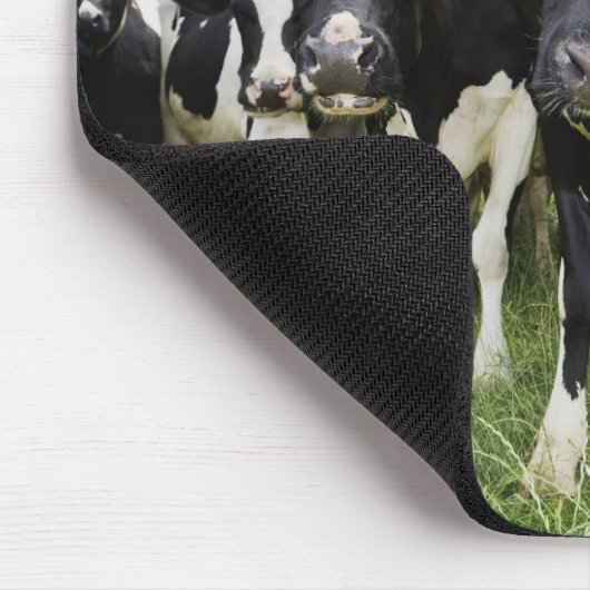 Kühe, die hintereinander stehend sind und die Kame Mousepad (Ecke)