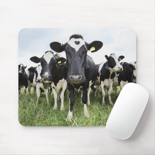 Kühe, die hintereinander stehend sind und die Kame Mousepad (Mit Mouse)