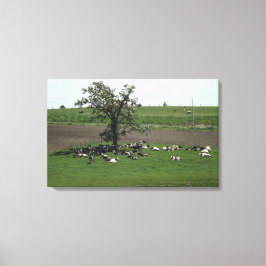 Kühe, die unter einer Baumlandschaft im mittleren  Leinwanddruck