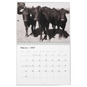 Kühe, ein Kalender 2016 (Feb 2027)