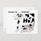 Kühe es geht? postkarte (Vorne/Hinten)