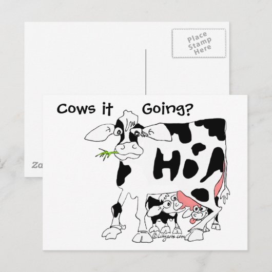 Kühe es geht? postkarte (Vorne/Hinten)
