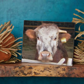 KUHE FOTOPLATTE (Seite)