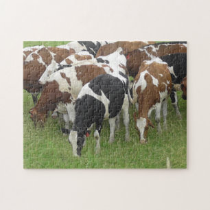 Kühe fressen Gras in den Feldern Puzzle