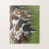 Kühe fressen Gras in den Feldern Puzzle (Vertikal)