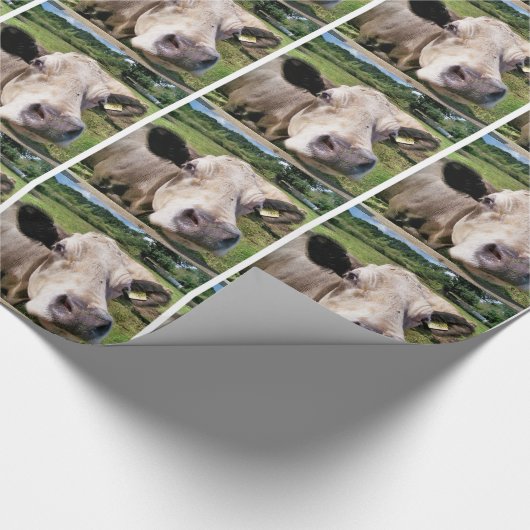KUHE GESCHENKPAPIER (Ecke)