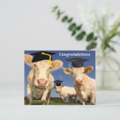 Kühe Herzlichen Glückwunsch Party Postkarte (Stehend Vorderseite)