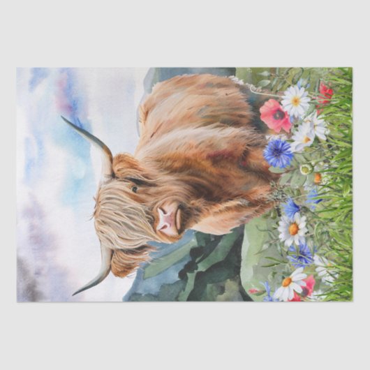 Kühe Hochland-Weide Seidenpapier (Vorderseite)