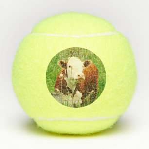 Kühe Hühnerfarm Tiere 4Robin Tennisbälle