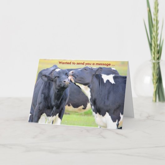 Kühe I Liebe Sie Grußkarte Karte (Vorderseite)