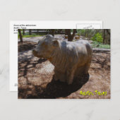 Kühe im Arboretum Postkarte (Vorne/Hinten)