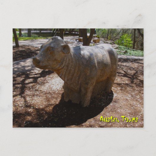 Kühe im Arboretum Postkarte (Vorderseite)