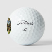 Kühe im Bereich, Golfball (Logo)