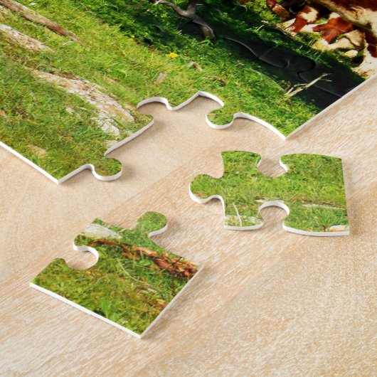Kühe im Bereich, Puzzle (Seite)