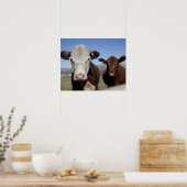 Kühe im eingezäunten Gebiet Poster (Küche)
