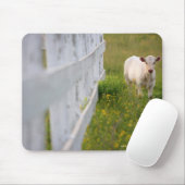 Kühe im Feld Mousepad (Mit Mouse)