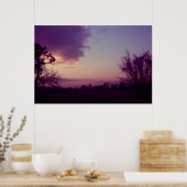 Kühe im Feld Poster (Küche)