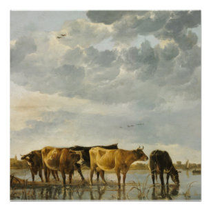Kühe im Fluss Aelbert Cuyp Poster