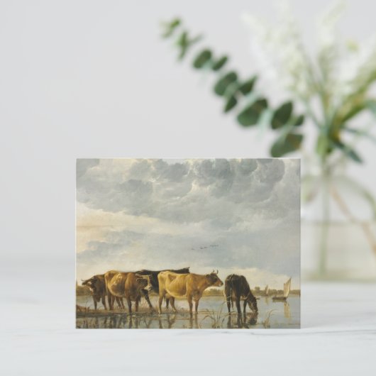 Kühe im Fluss Aelbert Cuyp Postkarte (Stehend Vorderseite)