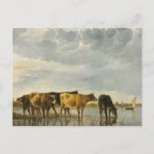 Kühe im Fluss Aelbert Cuyp Postkarte (Vorderseite)