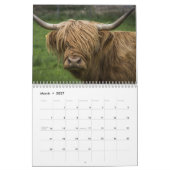 Kühe im Hochland 2025 Kalender (Mär 2027)