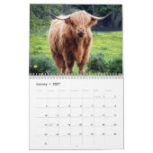Kühe im Hochland 2025 Kalender (Jan 2027)
