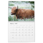 Kühe im Hochland 2025 Kalender (Feb 2027)