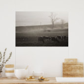 Kühe im nebeligen Kunstdruck Poster (Küche)