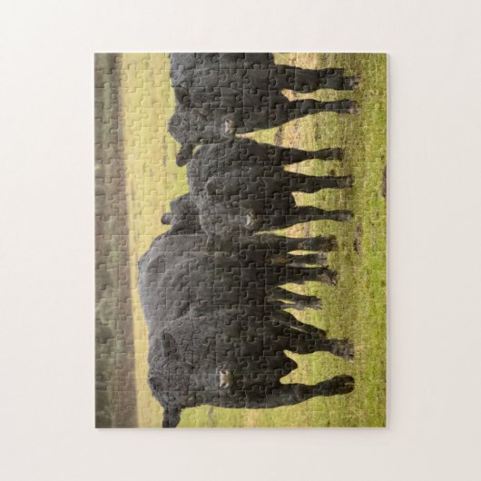 Kühe im Regen Puzzle (Vertikal)