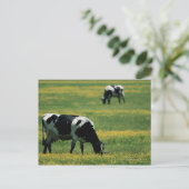 Kühe in Blume Postkarte (Stehend Vorderseite)