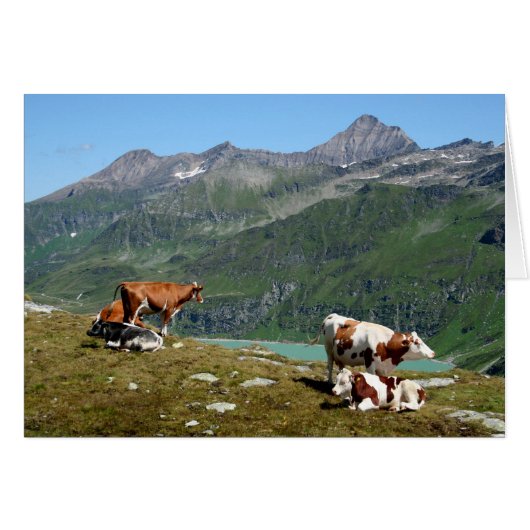 Kühe in den Bergen (Vorderseite (Horizontal))
