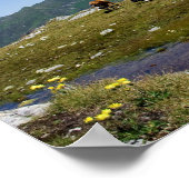 Kühe in den Bergen Poster (Ecke)