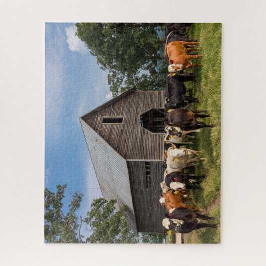 Kühe in der Scheune Puzzle (Vertikal)