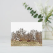 Kühe in einem Feld Postkarte (Stehend Vorderseite)