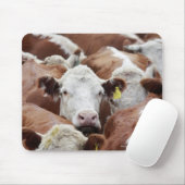 Kühe in einer Koralle Mousepad (Mit Mouse)