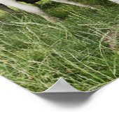 Kühe in einer Reihe Poster (Ecke)