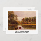 Kühe in einer Wasserlandschaft von Albert B. Postkarte (Vorne/Hinten)