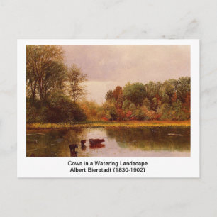 Kühe in einer wasserreichen Landschaft von Albert Postkarte