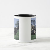 Kühe in einer Weide Tasse (Zentrum)