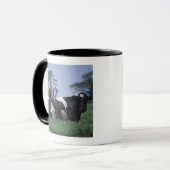 Kühe in einer Weide Tasse (Vorderseite Links)