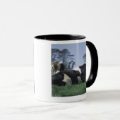 Kühe in einer Weide Tasse (VorderseiteRechts)