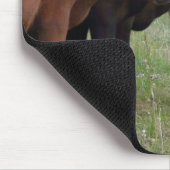 Kühe in Folge Mousepad (Ecke)